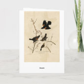 Roter geflügter Blackbird - Audubons Vögel in Amer Karte (Rückseite)
