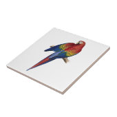 Roter gelber blauer Macaw-Papagei Fliese (Seite)