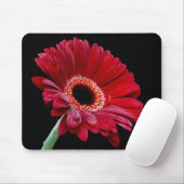 Roter Gerbera Mousepad (Mit Mouse)