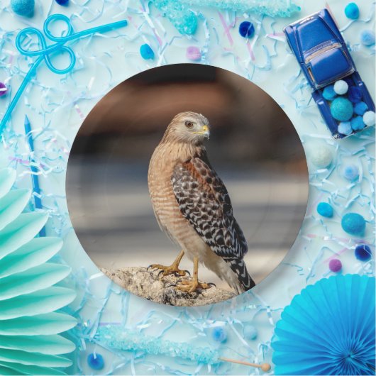 Roter geschulterter Falke auf einem Felsen Pappteller (Party)