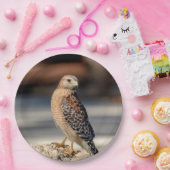 Roter geschulterter Falke auf einem Felsen Pappteller (Party)