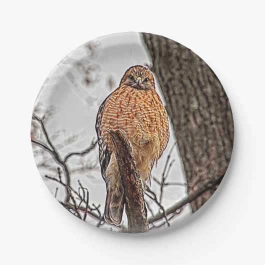 Roter geschulterter Falke in einem Baum Pappteller (Vorderseite)