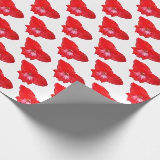 Roter Gladiolus Geschenkpapier (Ecke)