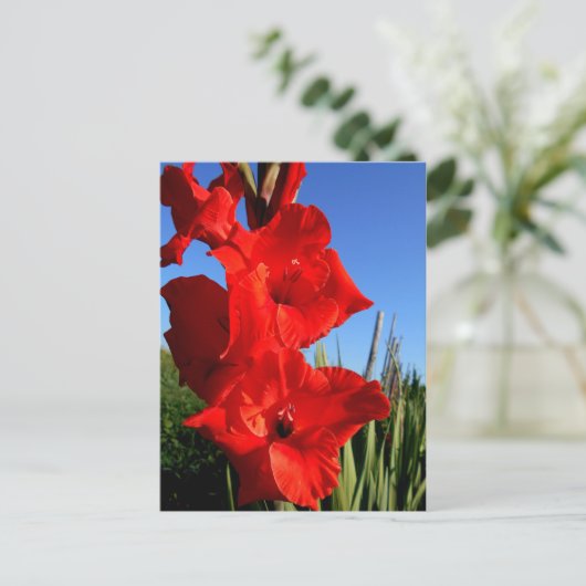 Roter Gladiolus und der Blaue Himmel Postkarte (Stehend Vorderseite)