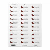 Roter glatthaariger Dachshund Rose (Vorne)