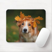 Roter Grenzcollie mit einer Girlande des Mousepad (Mit Mouse)