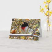 Roter Grosbeak Karte (Gelbe Blume)