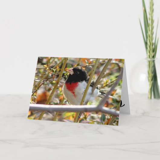 Roter Grosbeak Karte (Vorderseite)
