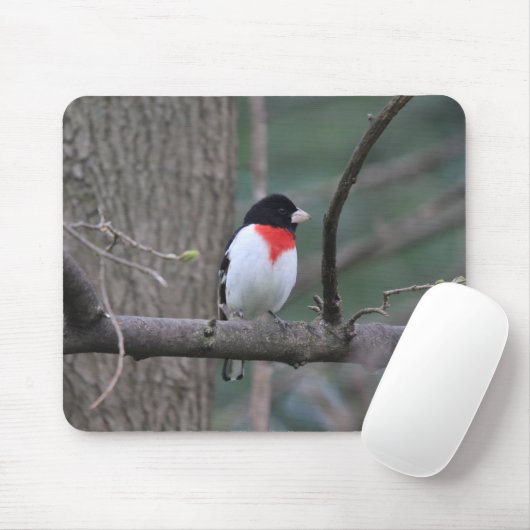 Roter Grosbeak-Mauspad Mousepad (Mit Mouse)