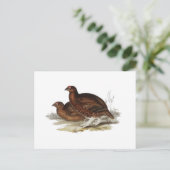Roter Grouse Postkarte (Stehend Vorderseite)