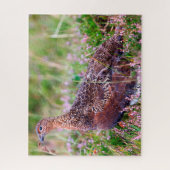 Roter Grouse Puzzle (Vertikal)