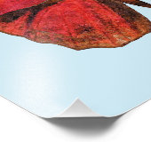 Roter Hahn Schmetterling Fotodruck (Ecke)