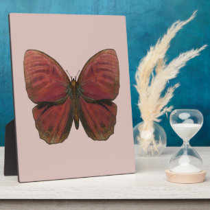 Roter Hahn Schmetterling Fotoplatte