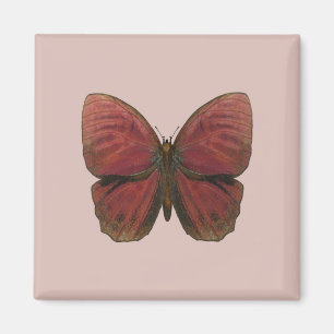 Roter Hahn Schmetterling Magnet