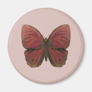 Roter Hahn Schmetterling Magnet