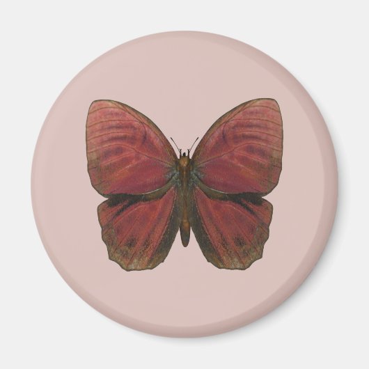 Roter Hahn Schmetterling Magnet (Vorne)