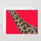 roter Hals Postkarte (Vorne/Hinten)