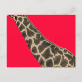 roter Hals Postkarte (Vorderseite)