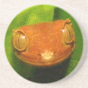 Roter HarlekinGecko mit Haube Untersetzer