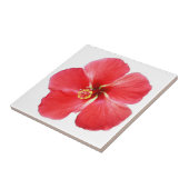 Roter Hawaiianischer Hibiskus Blume Fliese (Seite)