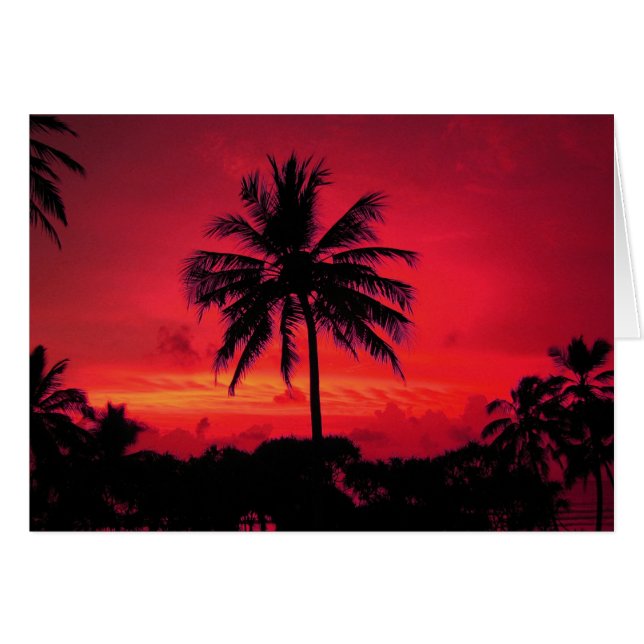 Roter Hawaiianischer Sonnenuntergang Exotische Pal (Vorderseite (Horizontal))