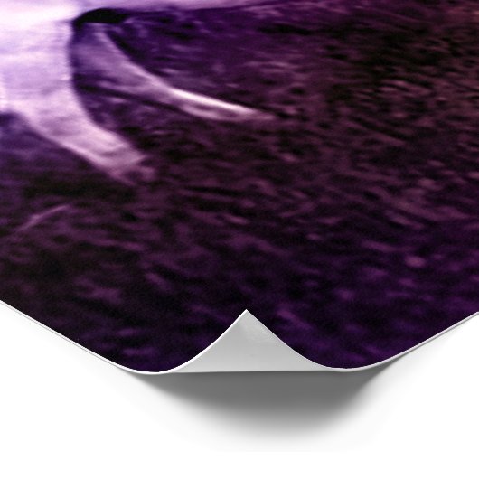 Roter Hawk an einer Oase in den Badlands Poster (Ecke)