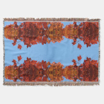 Roter Herbst: Blätter und blauer Himmel