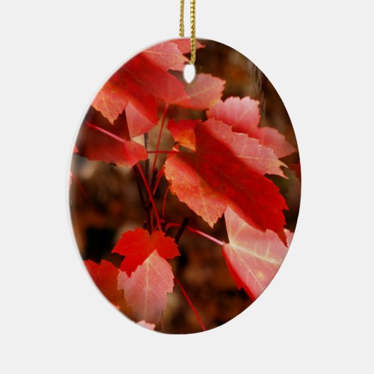 Roter Herbst lässt Naturschmuck Keramikornament (Rechts)
