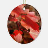 Roter Herbst lässt Naturschmuck Keramikornament (Links)