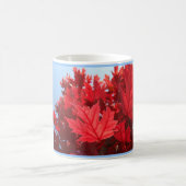 Roter Herbst lässt Tasse Bester Tag Kaffee Freunde (Mittel)