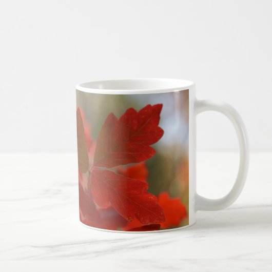 Roter Herbst verlässt Tasse (Rechts)