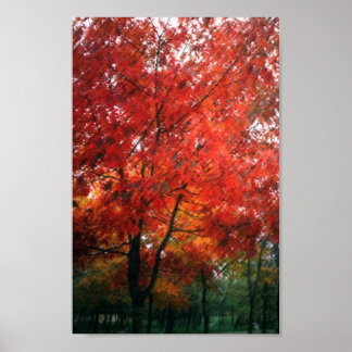 Roter Herbstbaum Poster