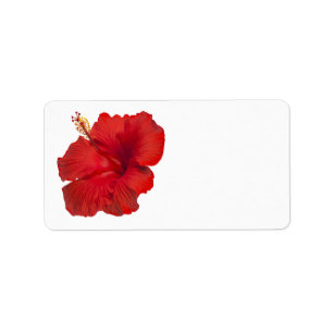 Roter Hibiskus auf Weiß - kundengebundene Adressaufkleber