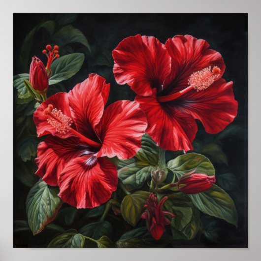 Roter Hibiskus Blume Art Print Poster (Vorne)