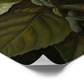 Roter Hibiskus Blume Art Print Poster (Ecke)