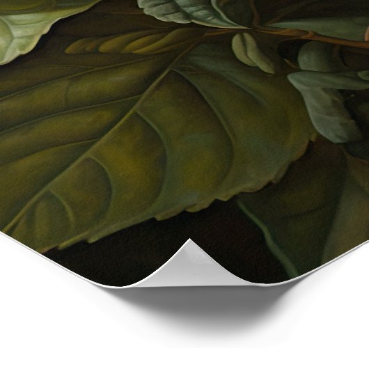 Roter Hibiskus Blume Art Print Poster (Ecke)