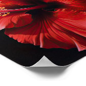 Roter Hibiskus Blume Art Print Poster (Ecke)