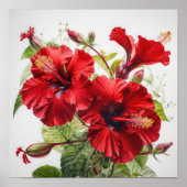 Roter Hibiskus Blume Art Print Poster (Vorne)