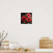 Roter Hibiskus Blume Art Print Poster (Küche)