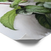 Roter Hibiskus Blume Art Print Poster (Ecke)