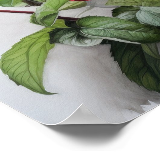 Roter Hibiskus Blume Art Print Poster (Ecke)