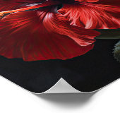 Roter Hibiskus Blume Art Print Poster (Ecke)