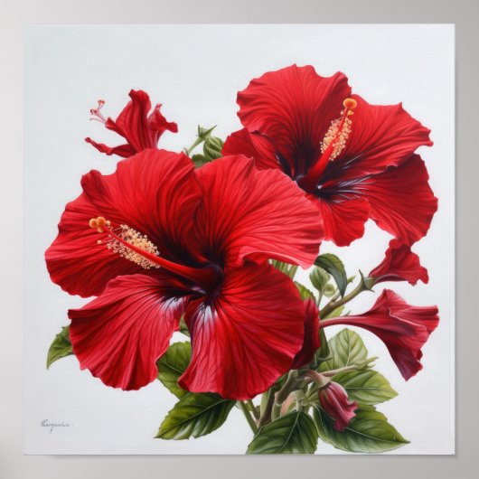 Roter Hibiskus Blume Art Print Poster (Vorne)