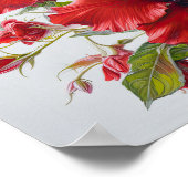 Roter Hibiskus Blume Art Print Poster (Ecke)