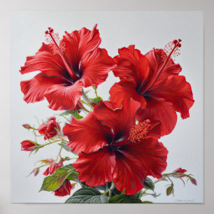 Roter Hibiskus Blume Art Print Poster