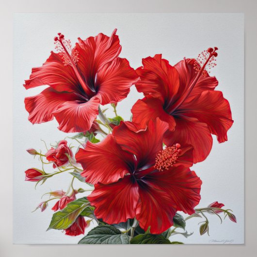 Roter Hibiskus Blume Art Print Poster (Vorne)