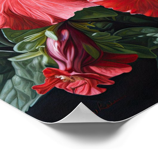 Roter Hibiskus Blume Art Print Poster (Ecke)