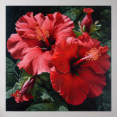 Roter Hibiskus Blume Art Print Poster (Vorne)