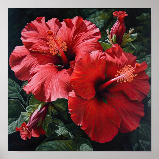 Roter Hibiskus Blume Art Print Poster (Vorne)
