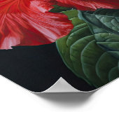 Roter Hibiskus Blume Art Print Poster (Ecke)